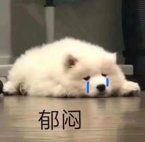 所以lpl到底怎么去冰岛