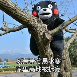 从理财青铜到王者,细说王者荣耀理财之道
