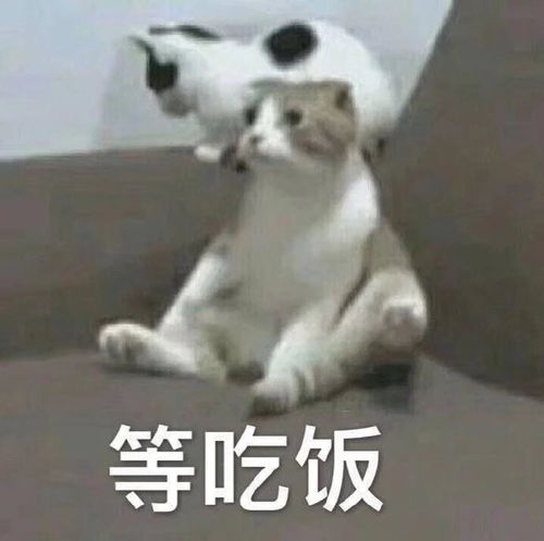 20岁,年龄焦虑非常重