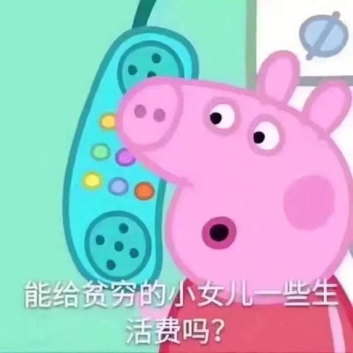 一份以享受生活为目的的剁手清单