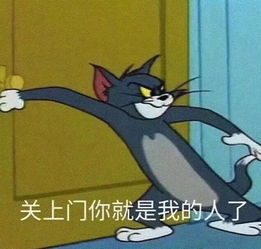 招新来媒体,就这样,听我的