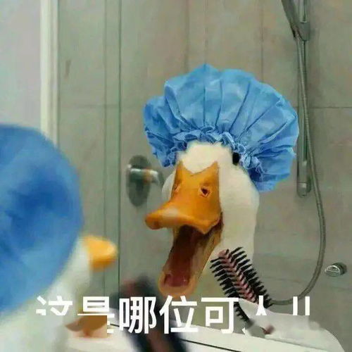 军训来啦,这些你要知道