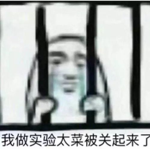 确认过表情包,是同一个专业的人