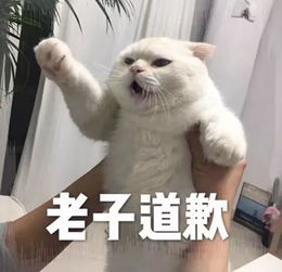 怎么让男女朋友不经意地看到这篇文章