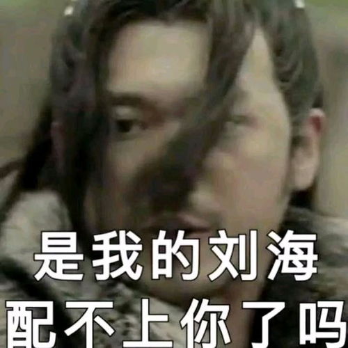 今夏中国最火的英文歌,你还没听过附中英文歌词