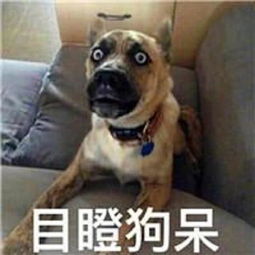 狗暴走表情包慢性自杀