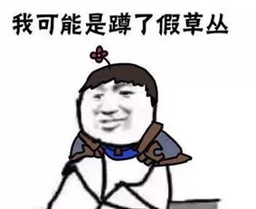 王者荣耀盘点5个蹲草丛里坑杀你的英雄最后一个吊打草丛三姐妹