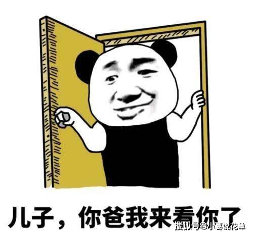 笑话科三考试遇见一只狗慢悠悠过马路,我对着狗汪汪了两声