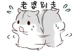 无标题