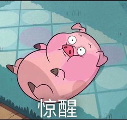 都说要嫁就嫁it男,钱多老实会干活