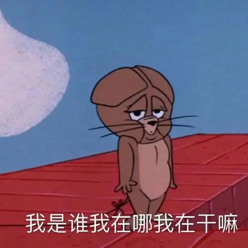 表情包分享,可爱到冒泡