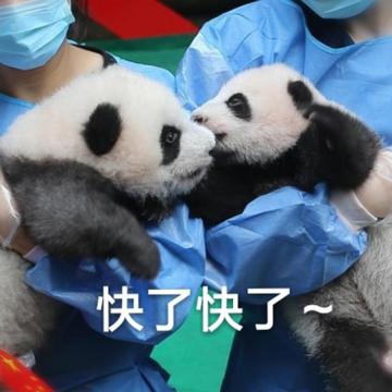 脑子里全是祖国生日