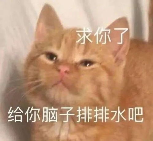 表情知道的东西越多思维也更开阔