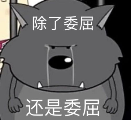 中国超过2.4亿单身人口,还有什么比结婚生孩子更重要的吗