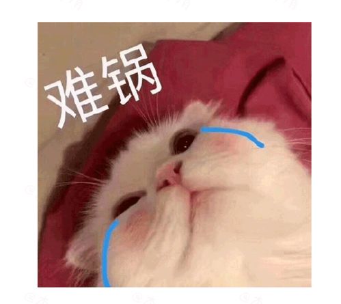 别惹那些自己洗过肥肠的人