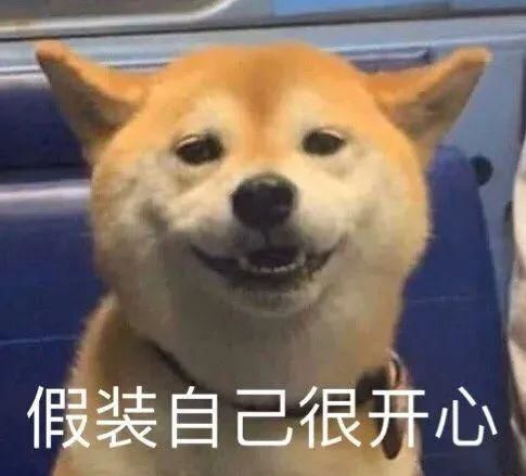 每日一笑老子花那么多钱让你学跆拳道,你白学了