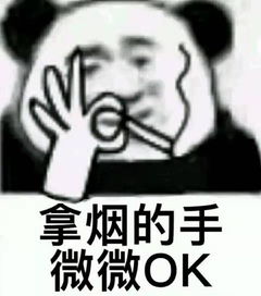 当想象力可以创造世界时,你永远也不知道沙雕网友们会做些什么