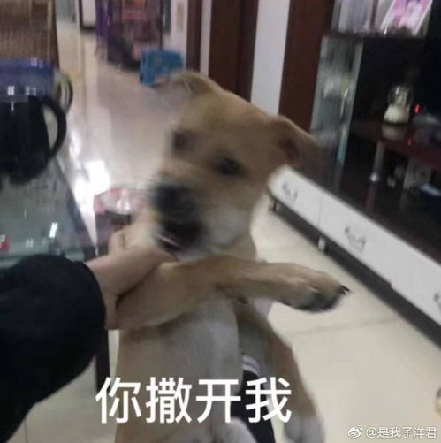 你当刑警时有哪些可怕的经历