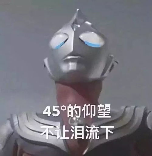 现在的食堂阿姨都学生被逼到什么地步了哈哈哈哈哈哈太难了