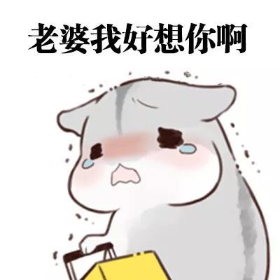 表情包想要这样会道歉的老公