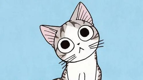 童年回忆,动画片里的猫都是些什么品种