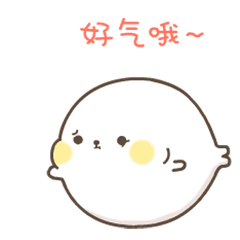 暖萌小海豹hibo第二窝gif