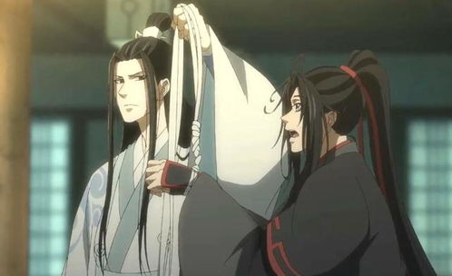 魔道祖师28,蓝忘机端方雅正形象全毁,蓝曦臣开始怀疑金光瑶