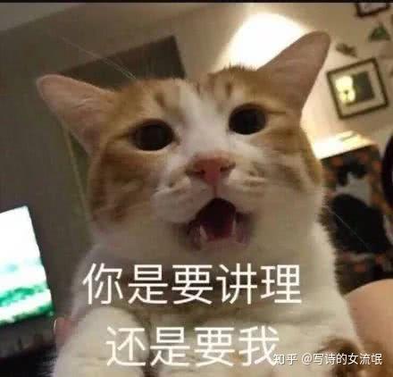 表情包多的人真的找不到对象吗