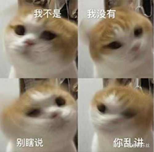 萌到吐血的表情包