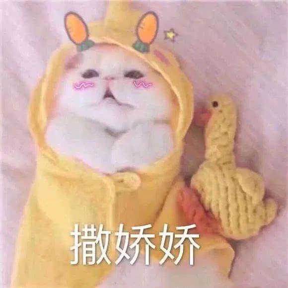刚谈恋爱特别懵逼咋办