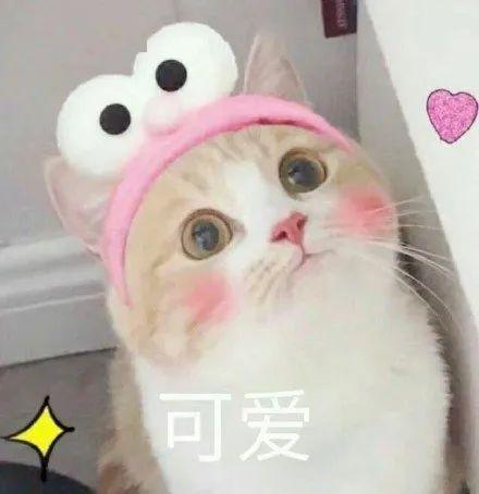 春游江淮请您来爆款来了快来领取你的万佛湖儿童节套餐