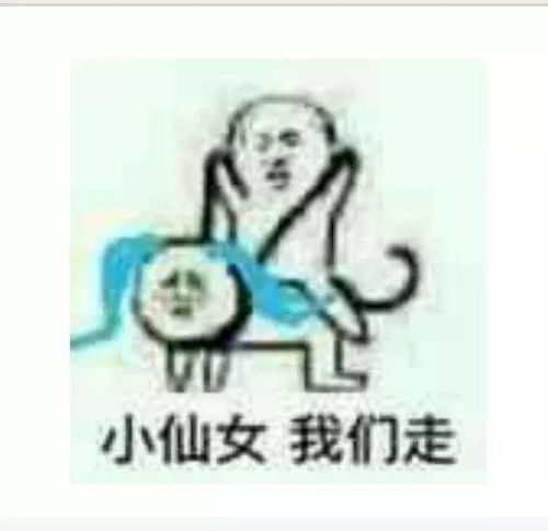 您好,您女友的闺蜜已上线
