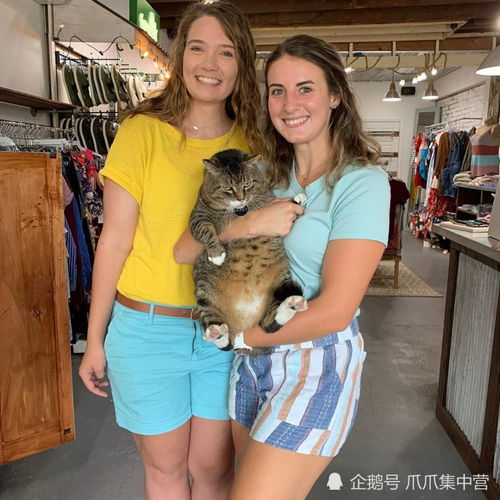 受到友好招待,受伤的流浪猫主动留在商店,当起了小保安