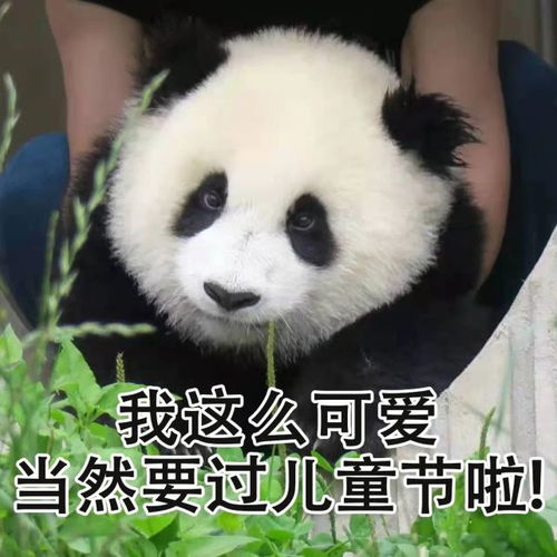 超萌儿童节专属熊猫表情包,速来拿图