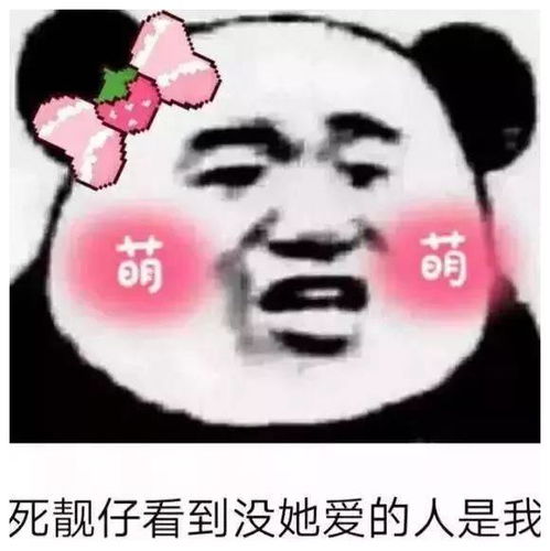 你表情包太多,不想和你聊了