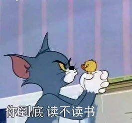 我,985毕业,不想和专科生谈恋爱学历