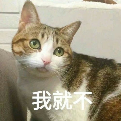 软妹砂糖物语