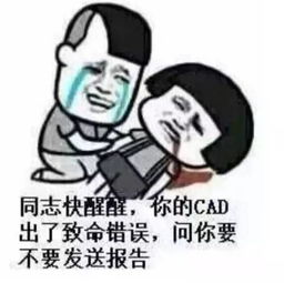 壮士们,请用一个表情包形容你的专业已笑趴......