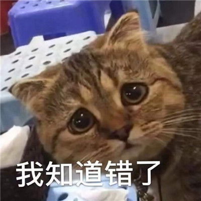 道歉专用表情包让别人马上原谅你