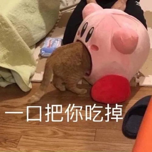 星之卡比系列表情包