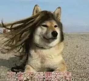 单身狗的泄欲修行哭过酸过咆哮过,终被虐成不近色的狠角色