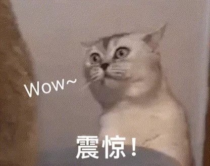 猫叫表情包阴阳天