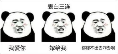 这年头没点文化,都看不懂表情包了