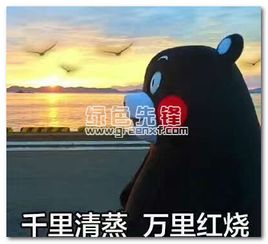 吃货眼里的世界搞笑表情包吃货眼里的世界qq表情无水印版软件下载