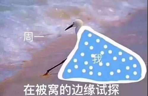 快来签收,广东最强冷空气