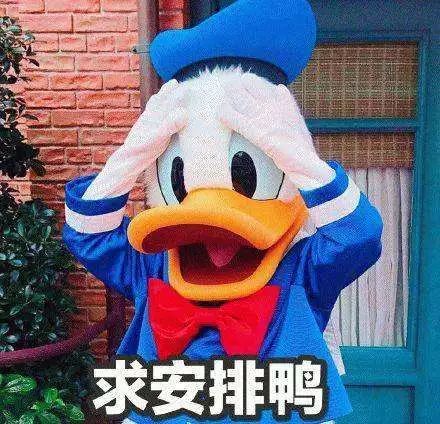 北风干吹还是没有雪