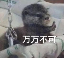 3人被拘,资产被查封冻结淄博这个非法集资案有新进展了,很多人曾受骗