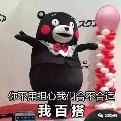 百年好合表情包永结同心