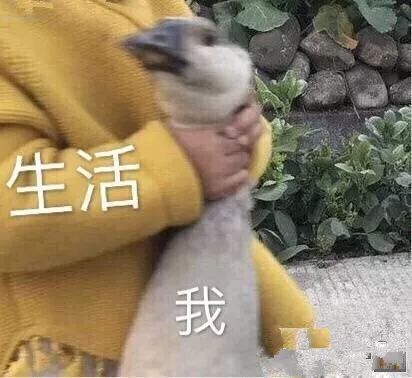 应城今冬首场要雪来了最低2c雨雪降温这周气温暴跌