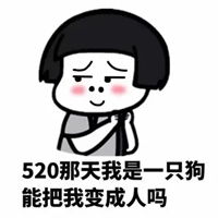 表情包520